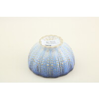 Shell bowl 11cm Sardines