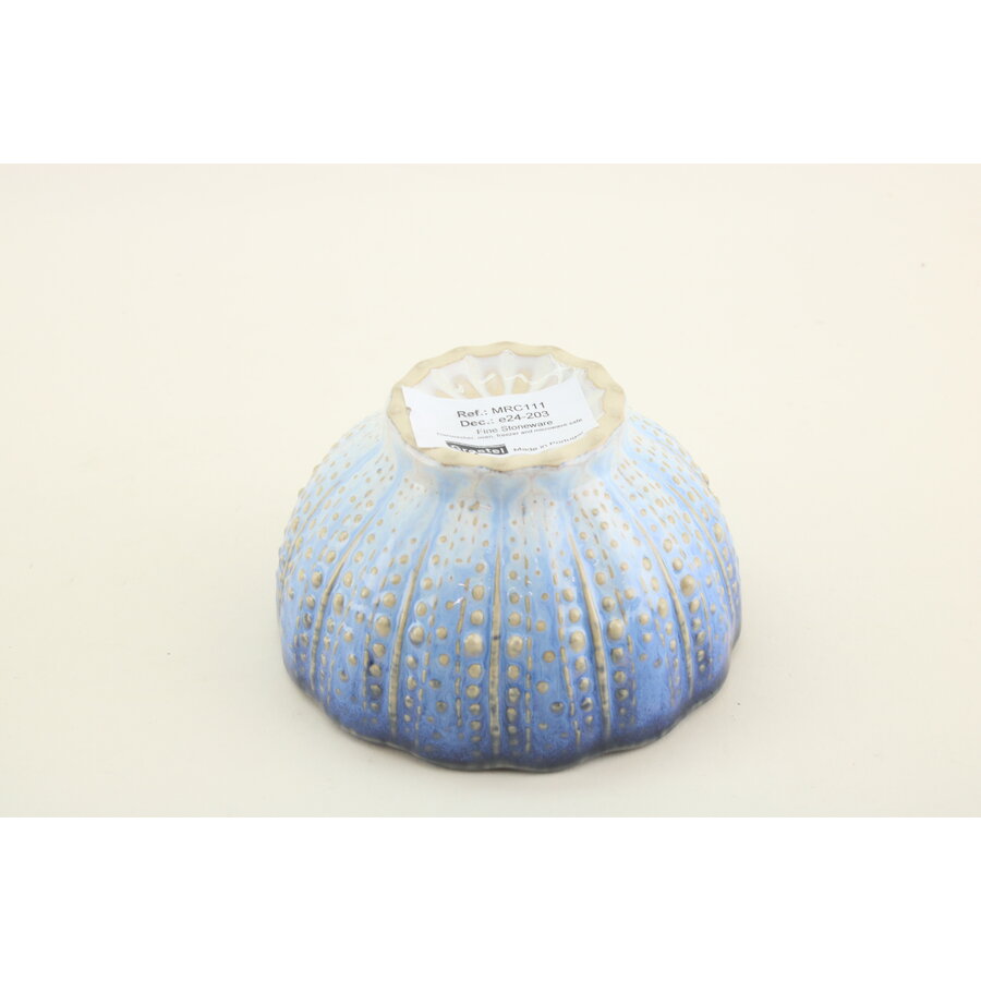 Shell Bowl 11 cm Sardines