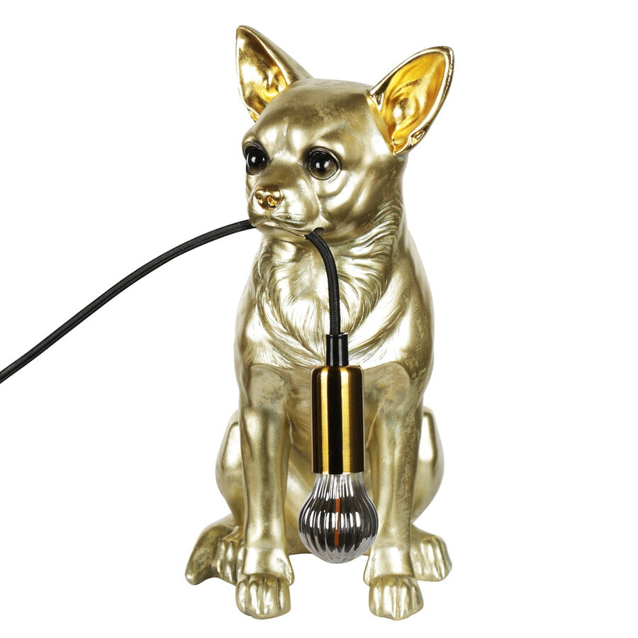 Chihuahua lamp