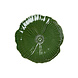 Ontbijtbord Papaver 20 cm Groen Ontbijtbord Papaver 20 cm Groen