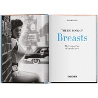 LITTLE BOOK OF BIG BREASTS 15