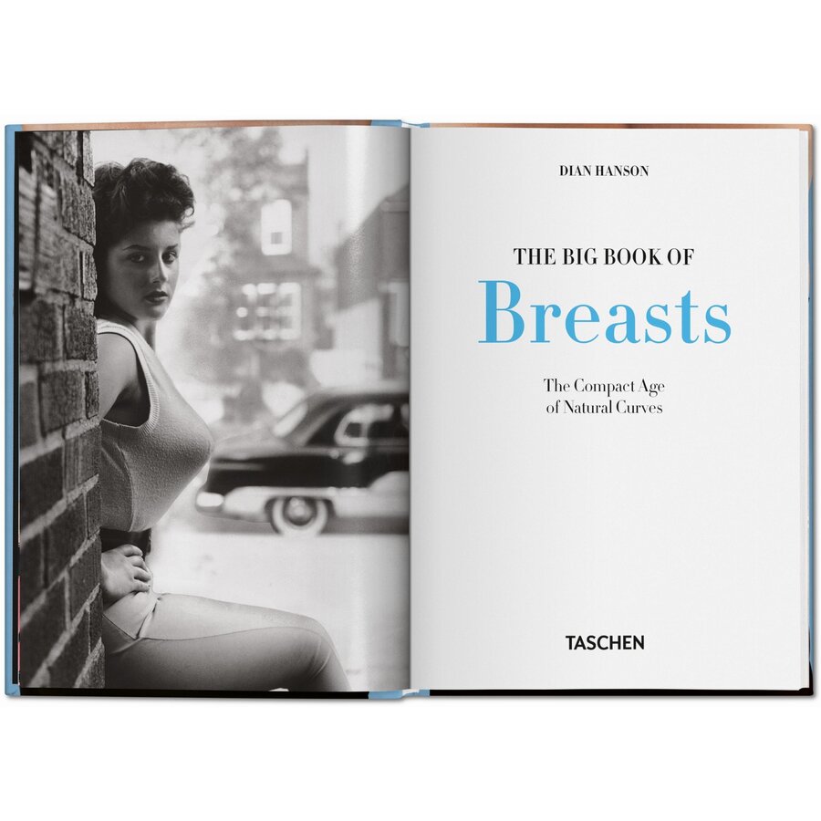 LITTLE BOOK OF BIG BREASTS 15
