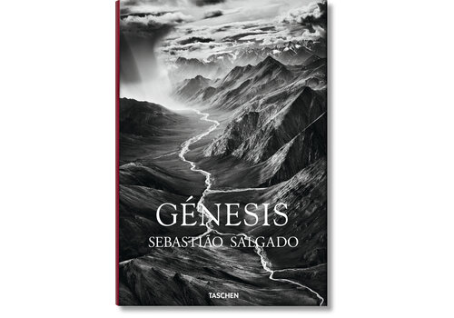  SALGADO, GENESIS 80 