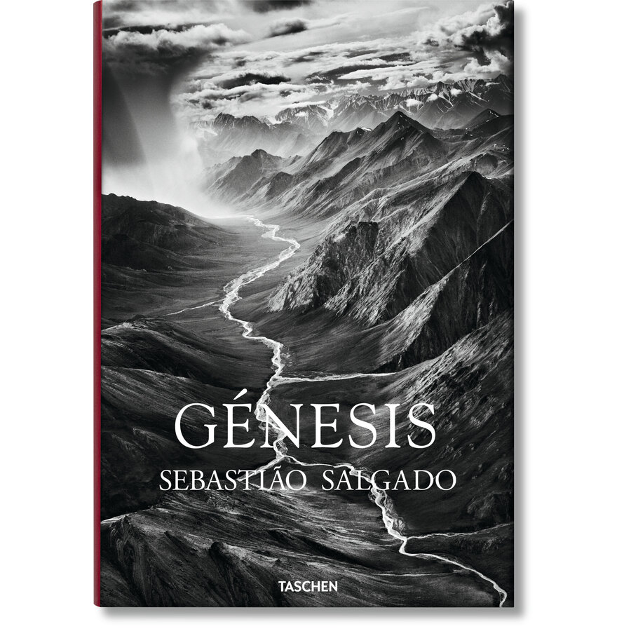 SALGADO, GENESIS 80