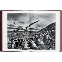 SALGADO, GENESIS 80