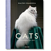 CHANDOHA, CATS 40