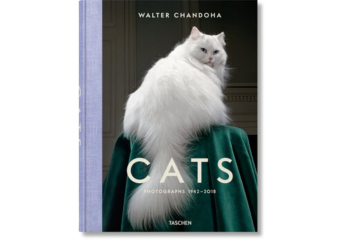  CHANDOHA, CATS 40 