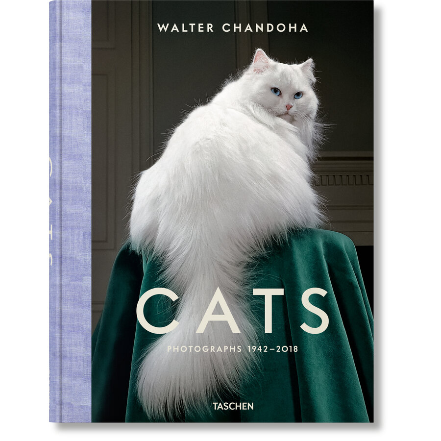 CHANDOHA, CATS 40