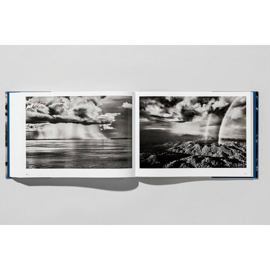 SALGADO AMAZONIA 100