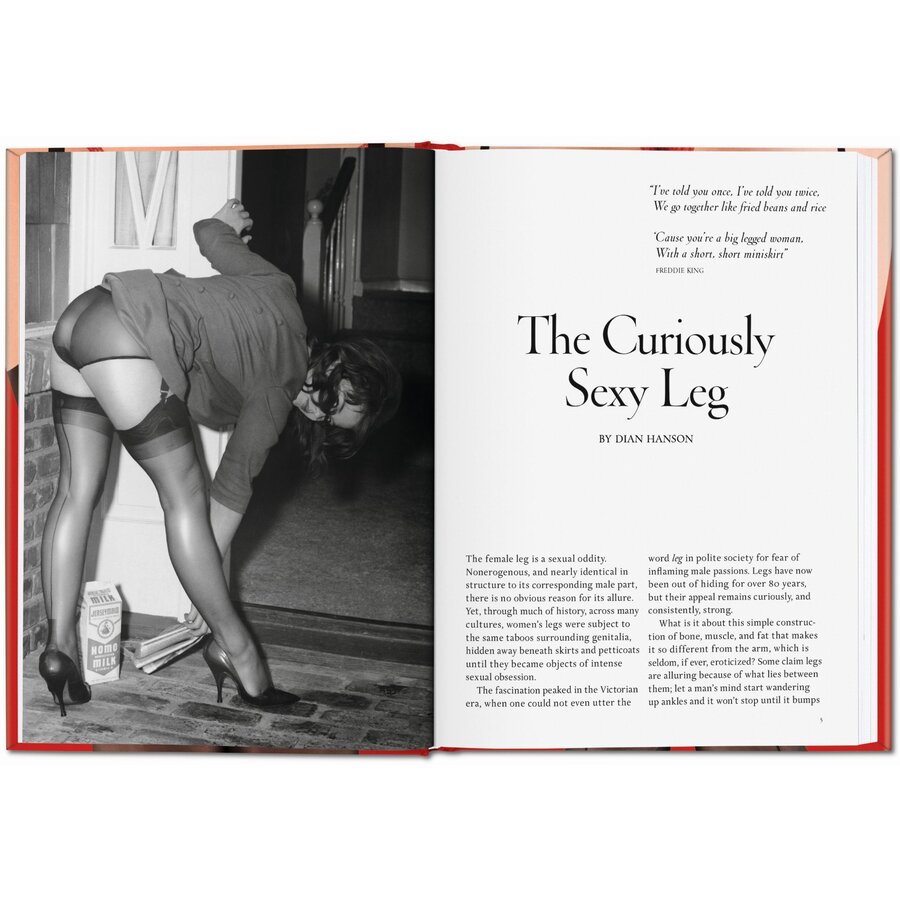 LITTLE BOOK OF LEGS 15