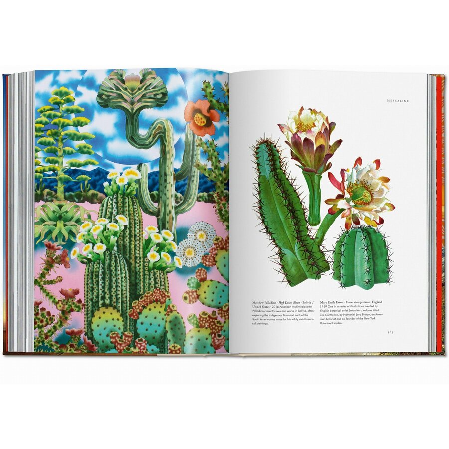 ESOTERICA,PLANT MAGICK 30