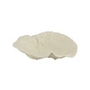 Diep blad 34cm cabbage wit