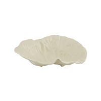 Diep blad 34cm cabbage wit