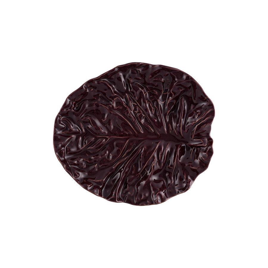 Groot blad 36cm cabbage Aubergine