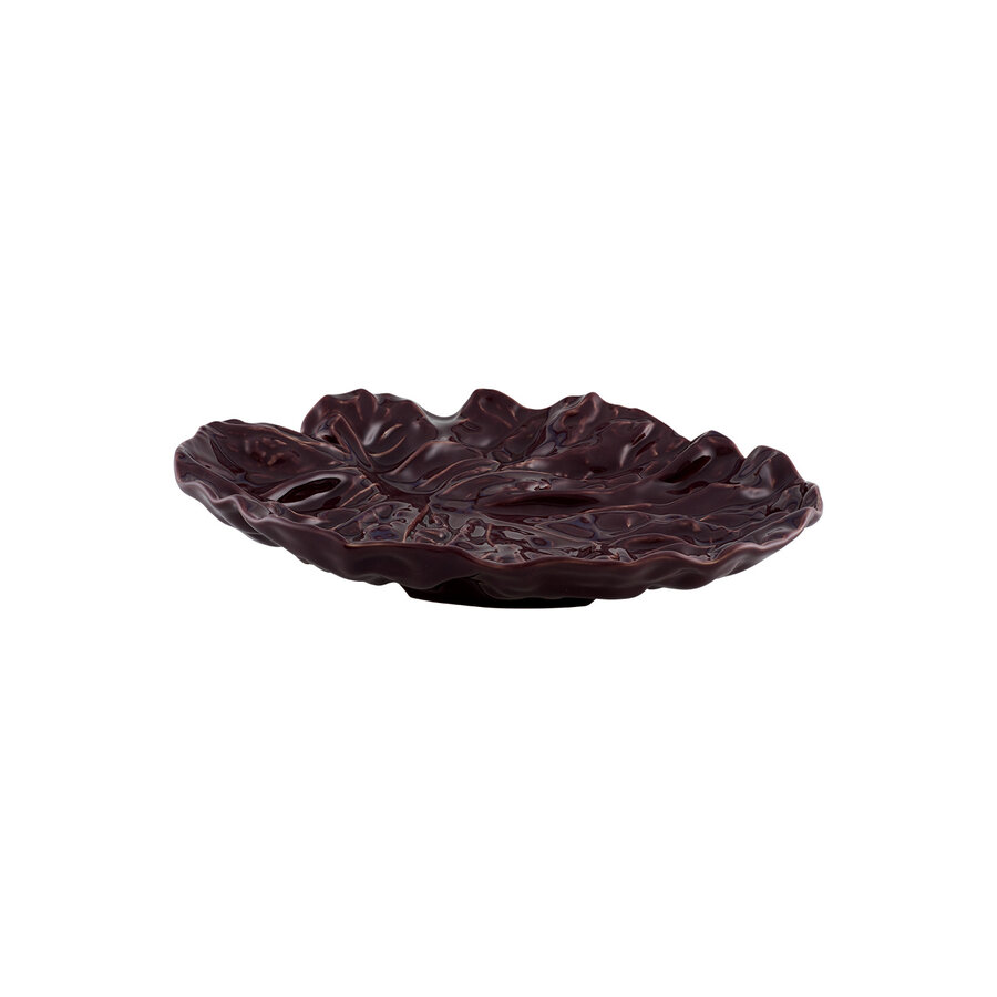 Groot blad 36cm cabbage Aubergine