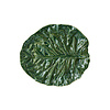 Groot blad 36cm cabbage groen