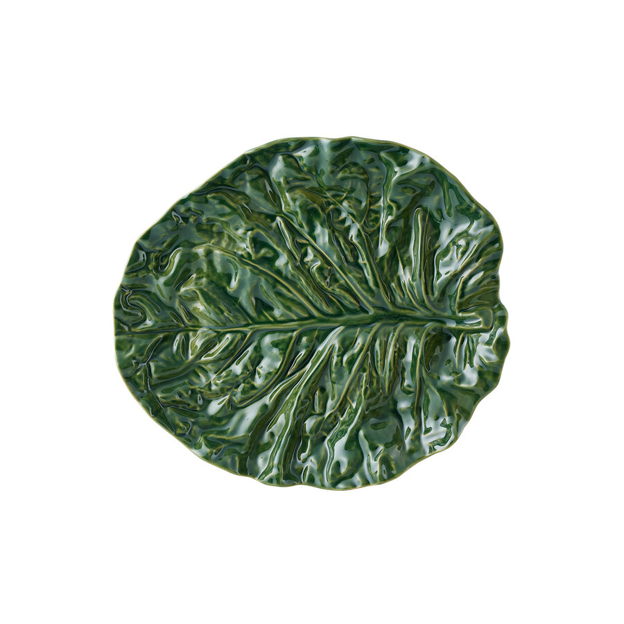 Groot blad 36cm cabbage groen