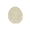 Groot blad 36cm cabbage wit