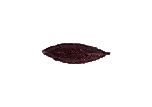  Lang blad 39cm cabbage Aubergine 