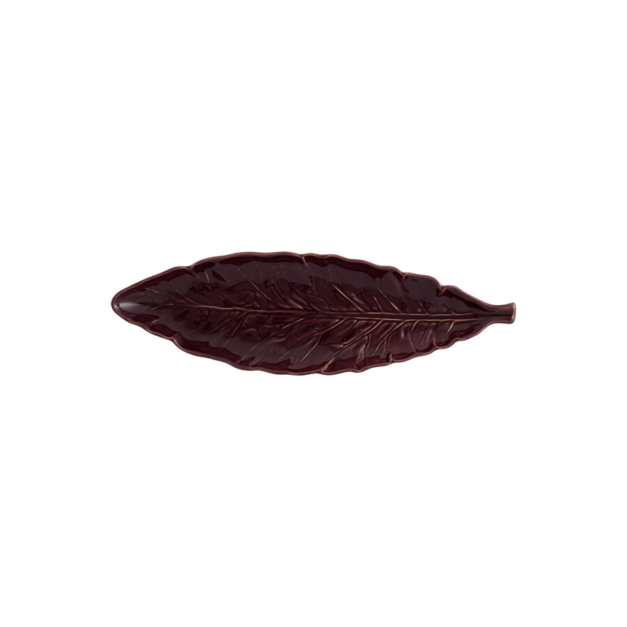 Long leaf 39cm cabbage purple