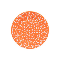 Dinerbord 27cm RAFAELA oranje