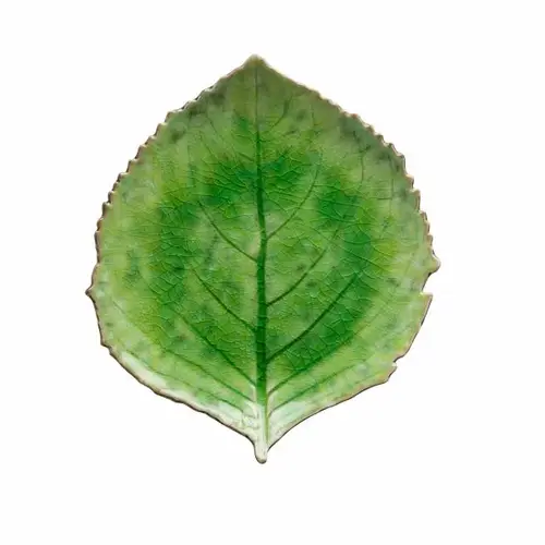 Leaf-shaped Tableware Riviera by Costa Nova