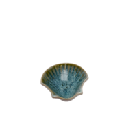 St Jacobschelp Pedra Praia groen