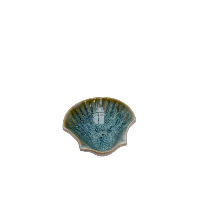 St Jacobschelp Pedra Praia groen