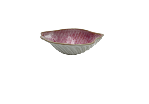  Schelpkom Camelia roze 