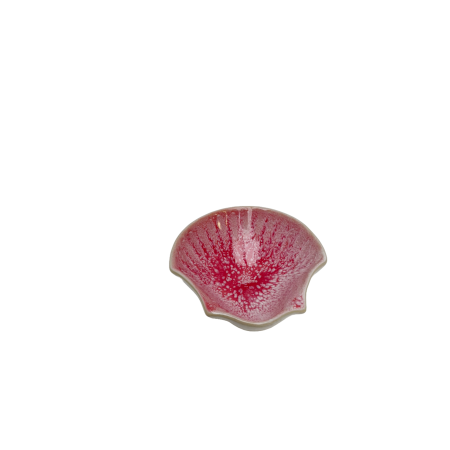 St Jacobschelp Pedra Camilia roze