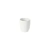 Lungo 21cl Pacifica Salt wit