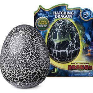 Dragons Hatching Dragon Toothless