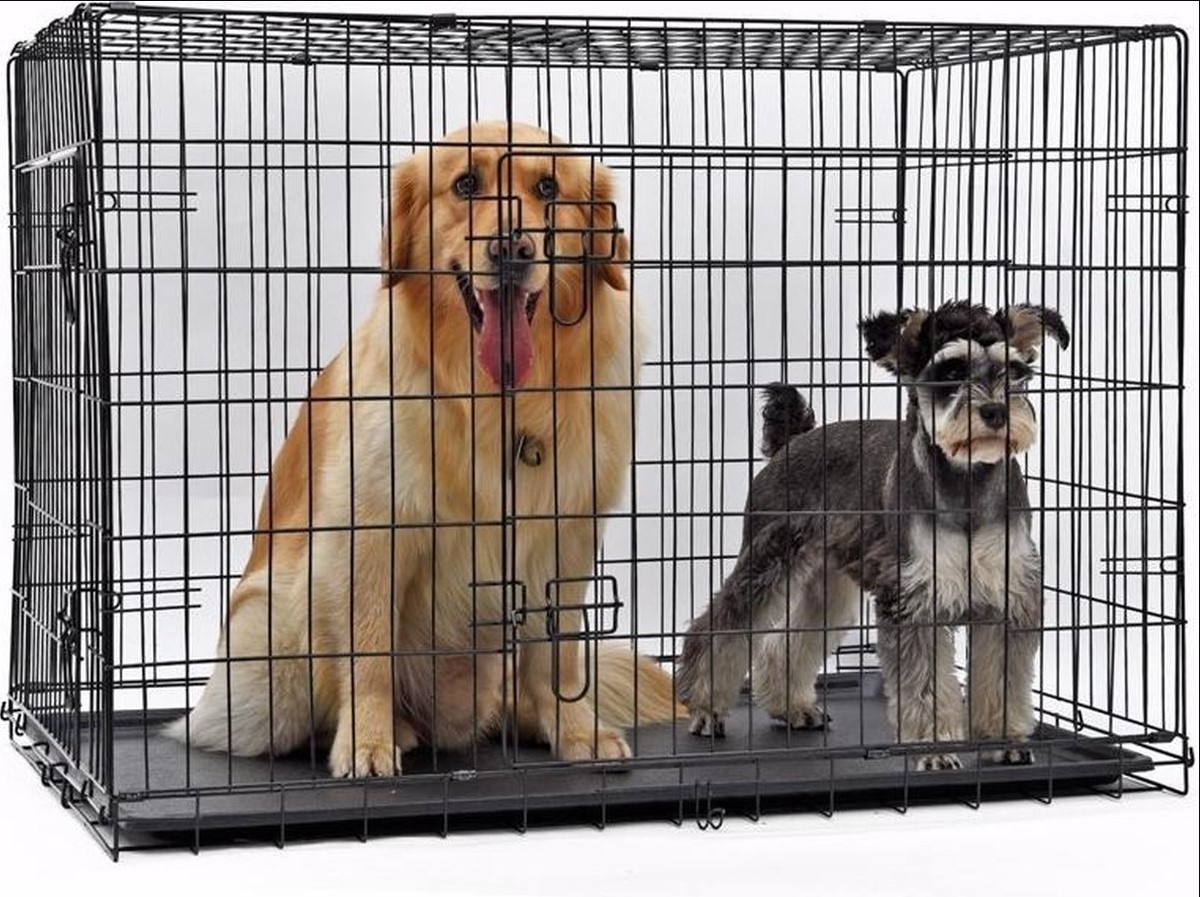 Dog Kennel - Black - 122x74x81 cm