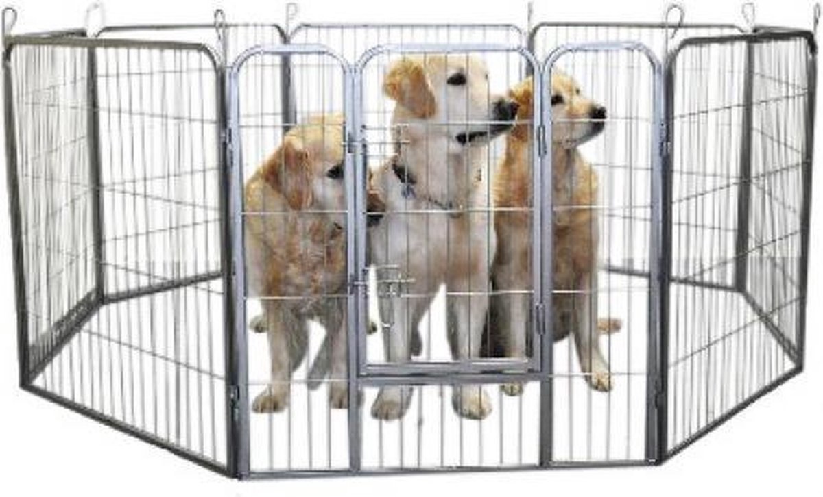 Hondenren- losloop hok- 8 hoekig -puppyren