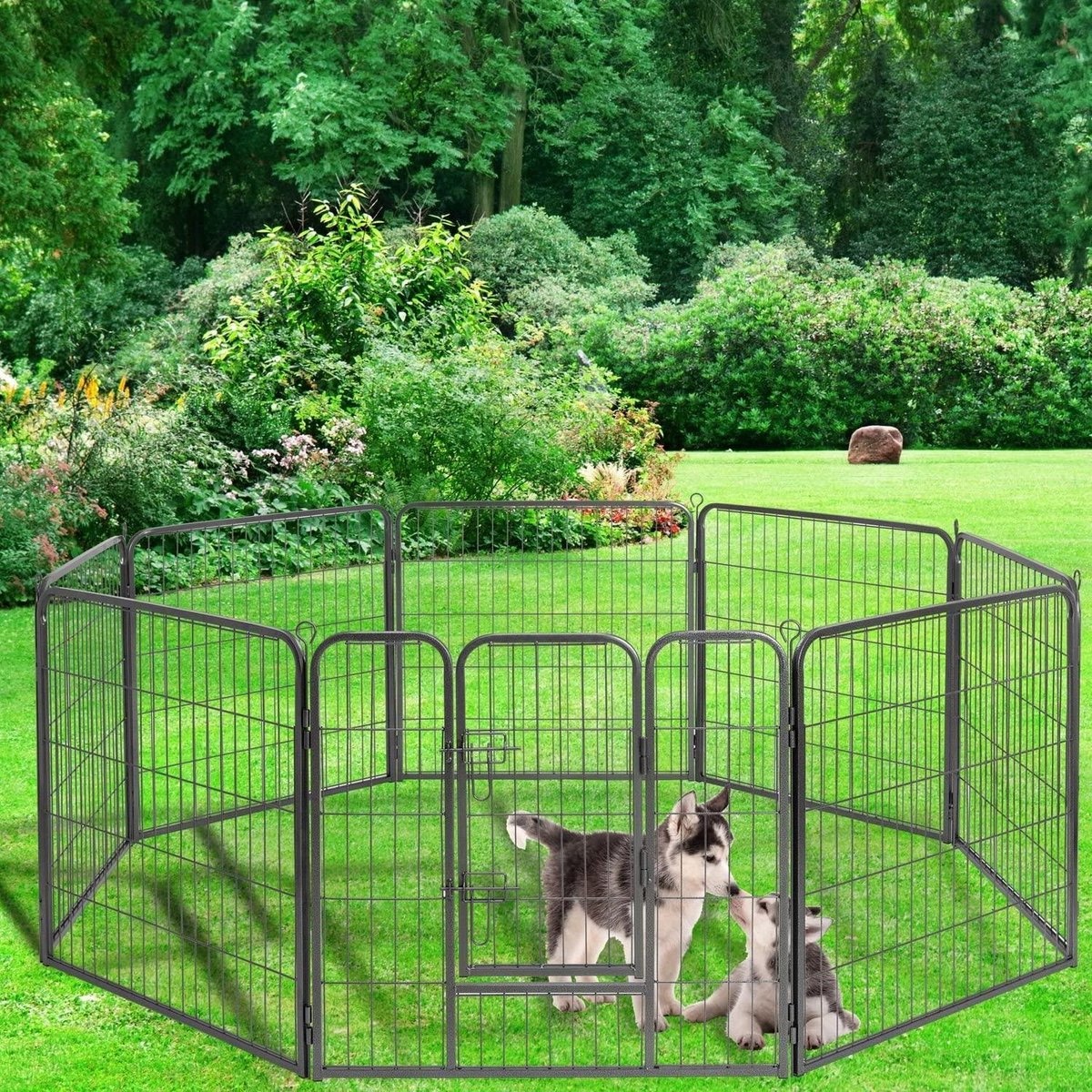 Hondenren- losloop hok- 8 hoekig -puppyren