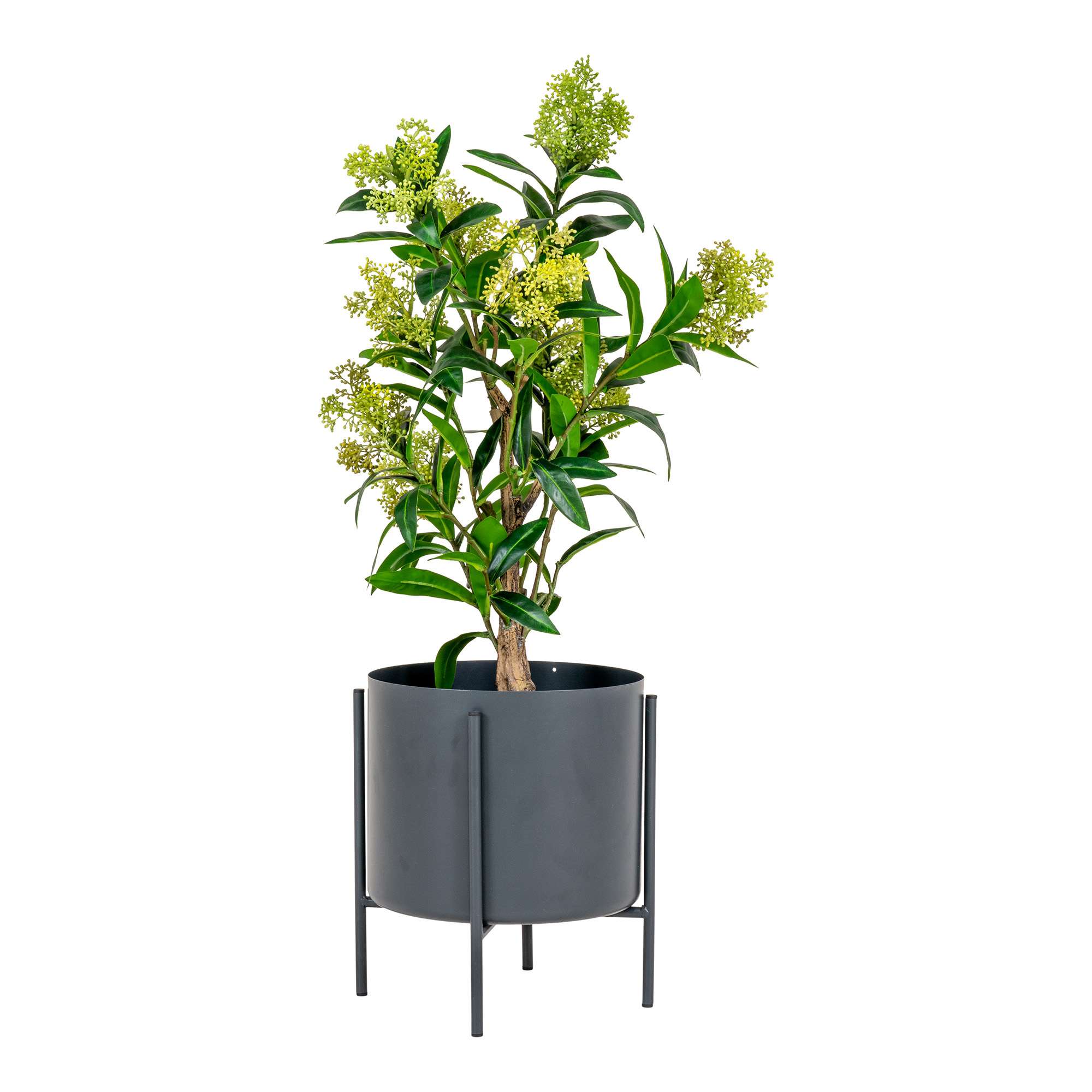 Skimmia Boom - Kunstplant, groen, 75 cm