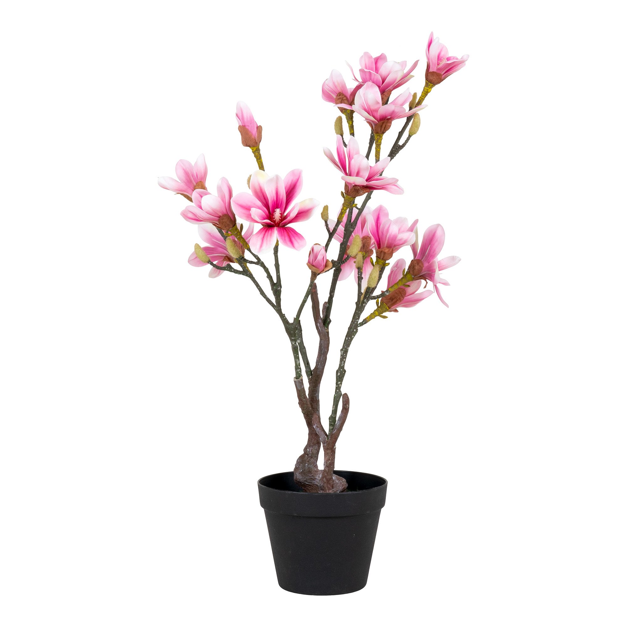 House Nordic Magnoliaboom Groen,roze