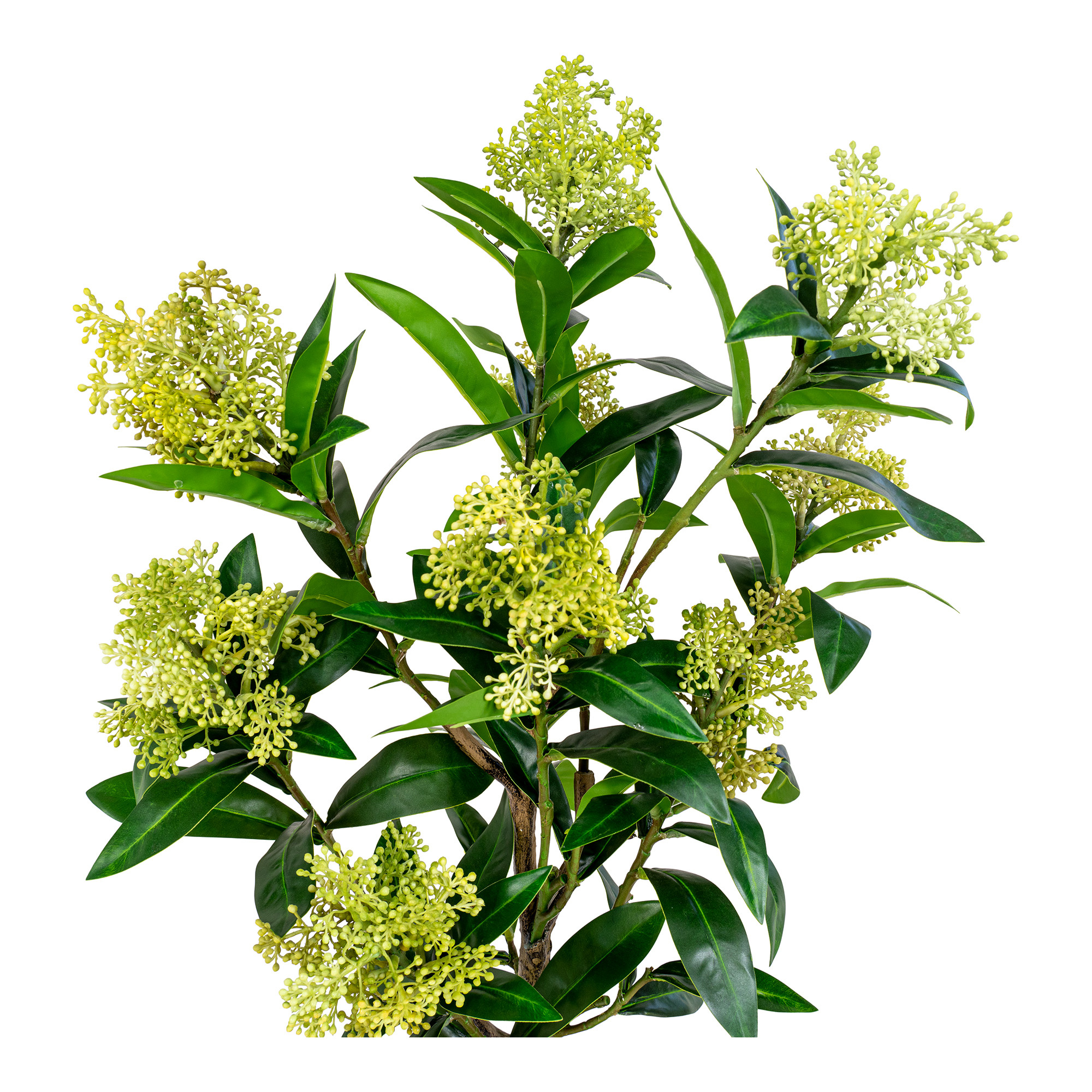 Skimmia Boom - Kunstplant, groen, 75 cm