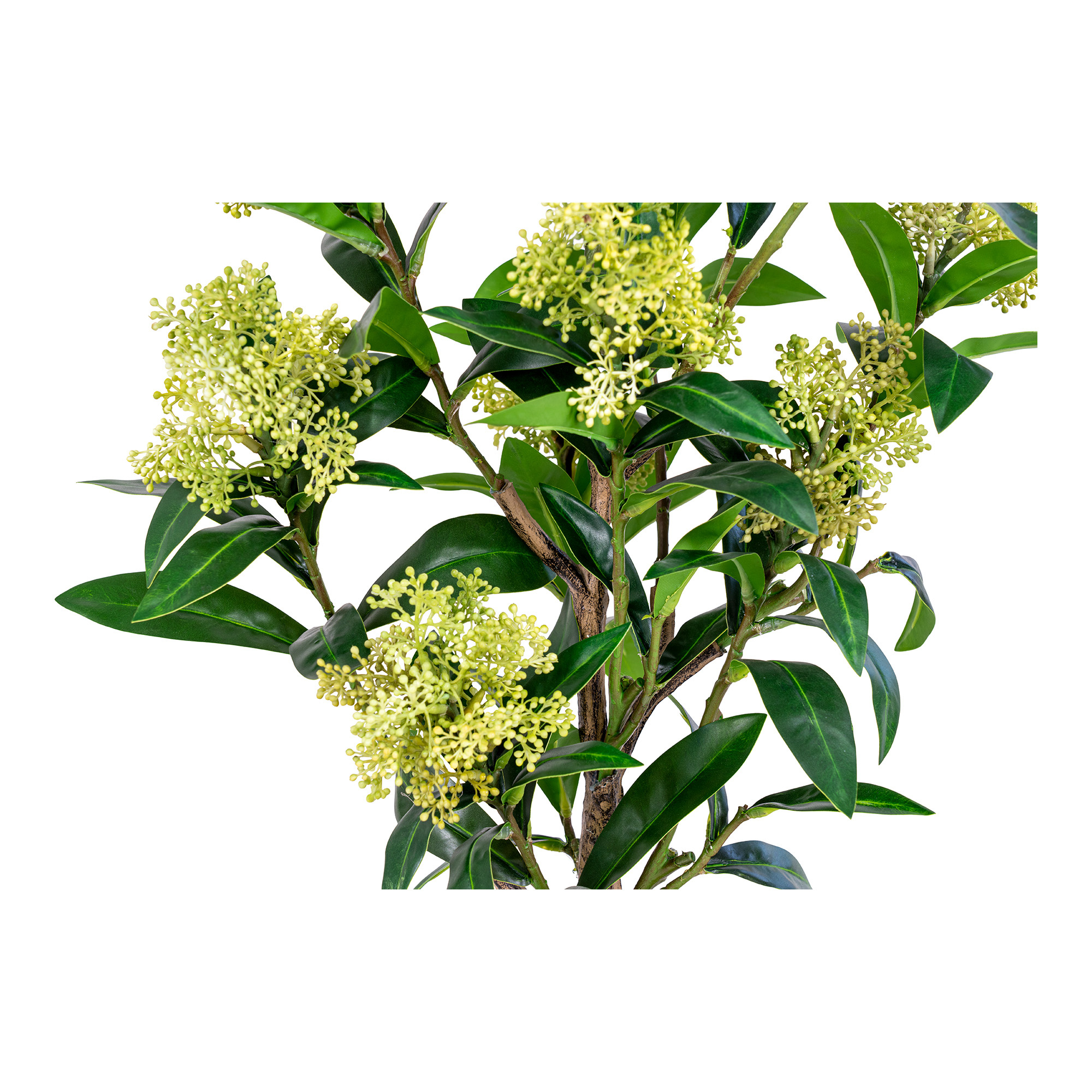 Skimmia Boom - Kunstplant, groen, 75 cm