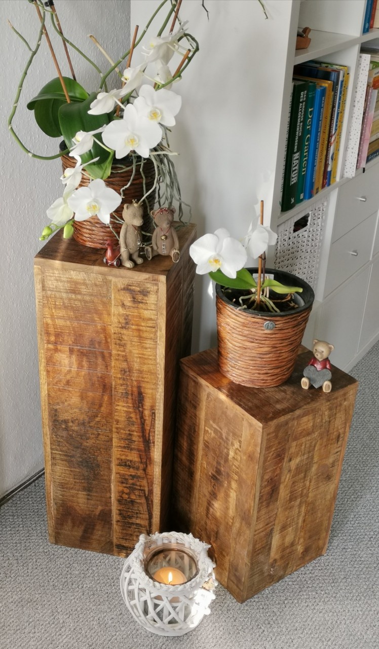 Parya Home -Flower Column Hocker Quadratischer Pflanzenständer Beistelltisch - 27 x 27x 70-75 cm - Braun - Massives Mangoholz