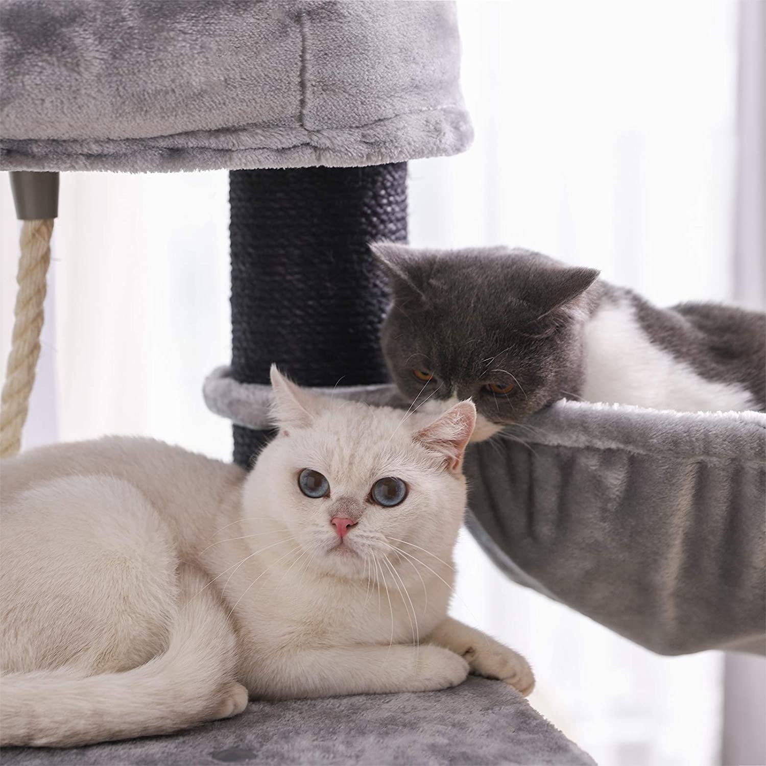 Parya Pets - Stabiele Krabpaal - Uitkijkplatform - Kattentoren - Mand - Grot - Pluche - Grijs & Zwart