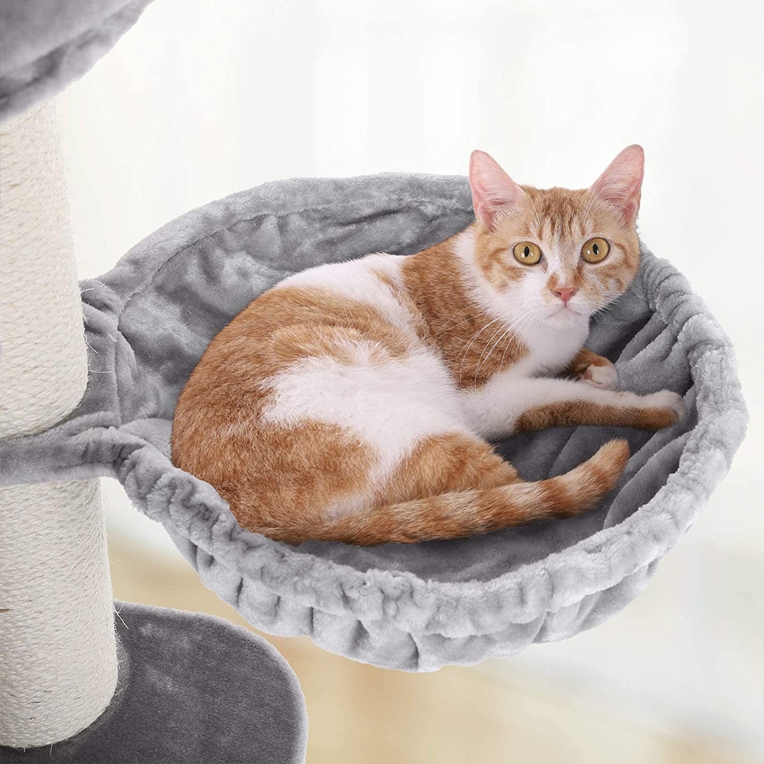 Parya Pets - Stabiele Krabpaal - Incl. Uitkijkplatform - Dikke stammen - Kattenboom - 1 Grot - Grijs