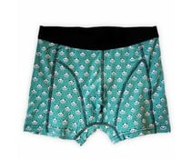 Pandasia Pandasia  children's boxer shorts