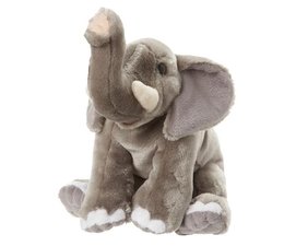 Plan L Olifant