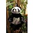 Pandasia Panda Rucksack