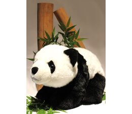 Pandasia Plan XL Panda OD