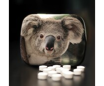 Mintblikje Wu Wen, Xing Ya of koala