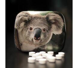 Mintblikje Wu Wen, Xing Ya of koala