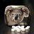 Mintblikje Wu Wen, Xing Ya of koala