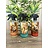 Ouwehand Roomspray Urucu/Umkhosi